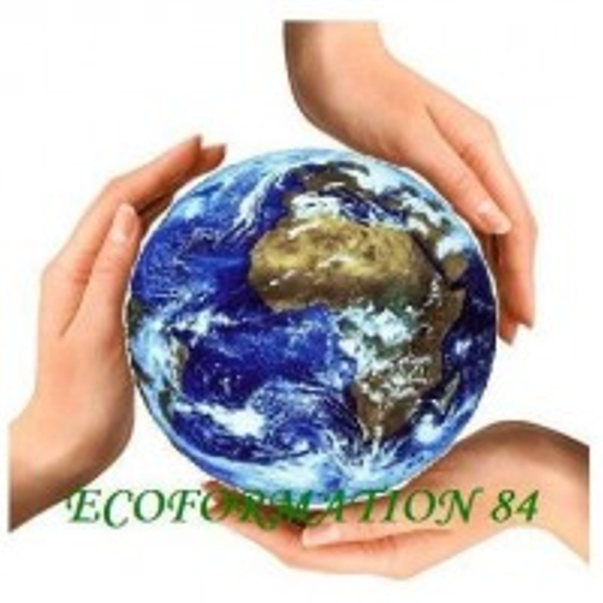 Les ateliers Nesting